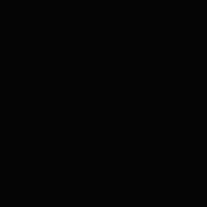 Meet your Posher, Ronnie